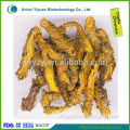 High Quality Herbal Dry Coptis Chinensis